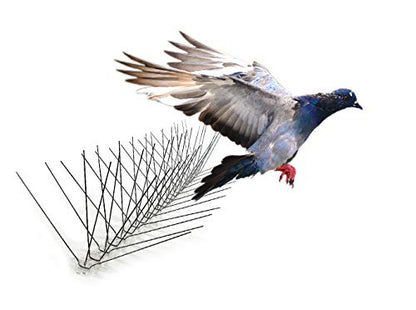 Bird-X Steel Spikes for Pigeons Sparrows Starlings 50-Foot Range 8-Inch - size: 50 feet