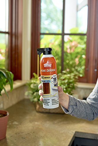 Ortho Home Defense Insect Killer for Cracks & Crevices, 16 oz. - color: Spray Foam (1-Pack)