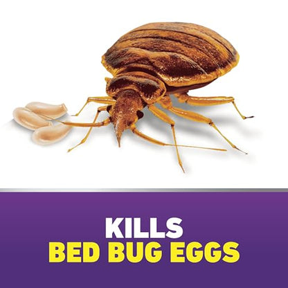 Ortho Home Defense Max Bed Bug Killer, Aerosol, 18 oz. - color: Aerosol