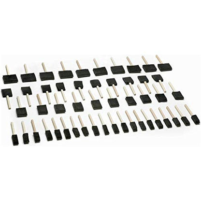 Woodstock D2024 Foam Brush Set, 50-Piece