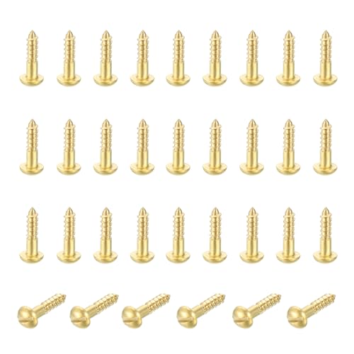 MECCANIXITY 35 Pcs Brass Screws, M2.5 x 10mm Solid Slotted Round Head Self-Tapping Wood Screw Fasteners for Woodworking Furniture Repair Photo Frame Drywall Home Appliances, Gold - size: M2.5 x 10mm