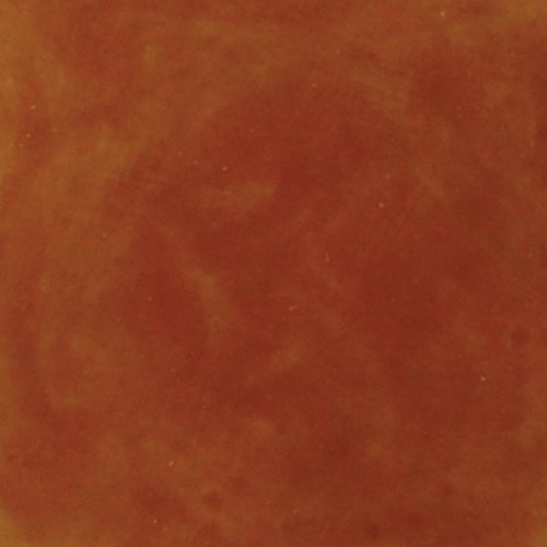 Acid Concrete Stain Professional Grade - Clay Canyon, 16 Ounce - color: Clay Canyon, size: 0.125 Gallon