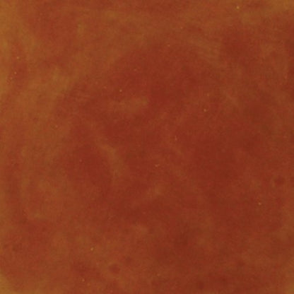 Acid Concrete Stain Professional Grade - Clay Canyon, 16 Ounce - color: Clay Canyon, size: 0.125 Gallon