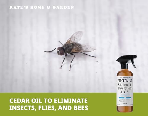 Kate's Home & Garden Peppermint Oil Spray for Bugs, Ants, Spiders (16oz) - size: 16 Fl Oz (Pack of 1)
