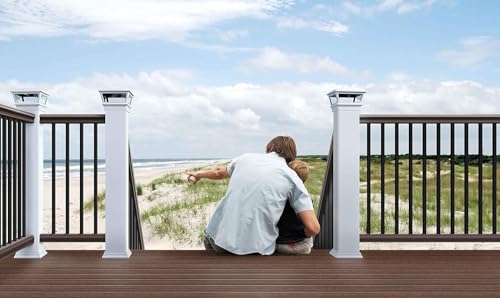 HZIU 25 Pack 38" Deck Balusters，Stainless Steel Deck Railing Kit - size: 38 Inch