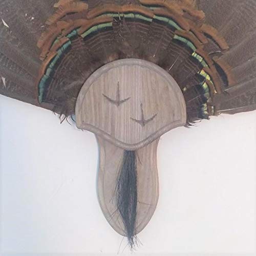 Weathered Wood Carved Turkey Mounting Kit with Beard Plate 02