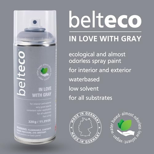 In Love With Grey Spray Paint | Water-based Spray Paint Grey - color: In Love with Gray, size: 11.29 Ounce (Pack of 1)
