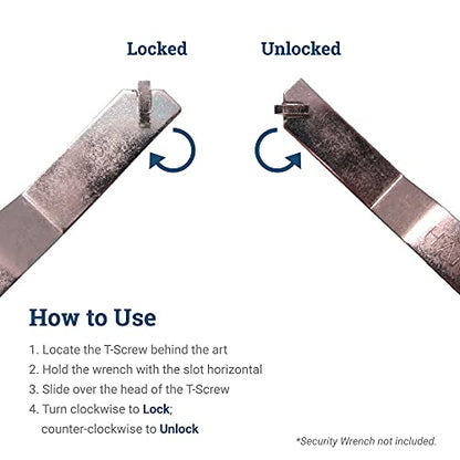 PHS T-Screw Anti Theft Picture Hangers, 100 Pack with T Wrench - size: 100 Pack