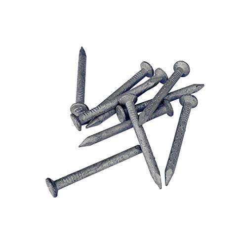 1 1/2" x 10G Joist Hanger Nails | Hot Dip Galvanized Steel | 2.2lb / 1kg per Box