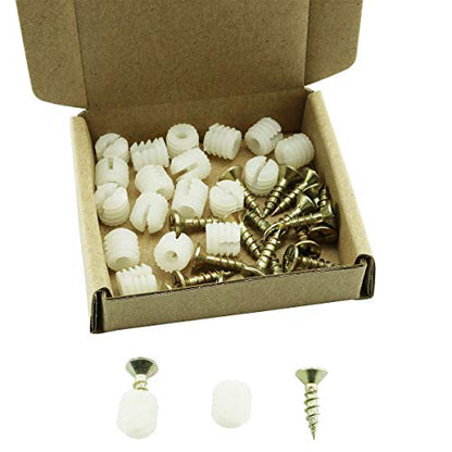 TAODAN 20PCS Plastic Dowel Inserts and Mounting Screws for Hinges