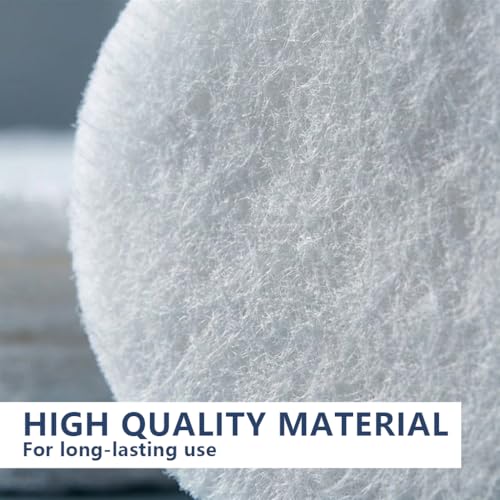 10 Pack 5 Inch 2000 Grit Non-Scratch Polishing Pad, Hook & Loop Non-Woven Finishing Discs for Orbital Sander, Non-Abrasive Buffing Pads for Wood Oil & Wax Application, Automotive Detailing