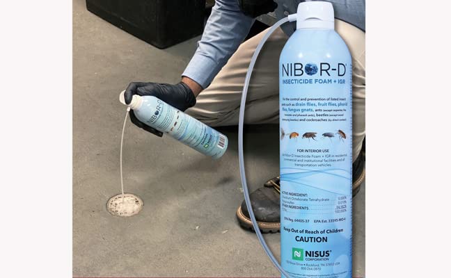 Nisus Nibor-D Insecticide Foam with IGR, 1 Pack, 21 oz Can - size: 1 Pack