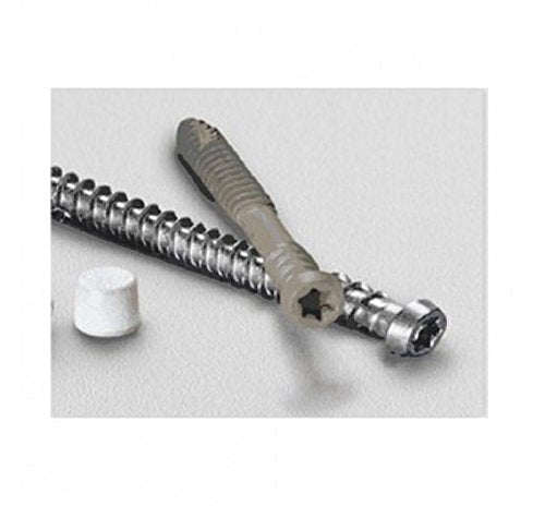 Starborn Pro Plug No. 10 x 2 in. L Star Trim Head Epoxy Coated Carbon Steel Deck Screws and Plugs Kit