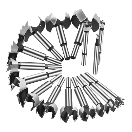 GMTOOLS Forstner Bit Set, 16PCS Forstner Drill Bits for Wood, Carbide Forstner Bit for Woodworking, Auger Opener Round Shank Drilling Cutting Tool for Hardwood, Softwood, Plastic, Plywood - style: 16PCS Forstner Drill Bits