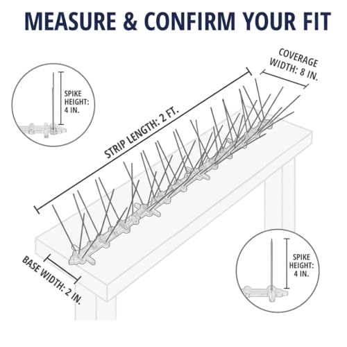 Bird-X Stainless Bird Spikes 8-Inch Extra-Wide, 2 Ft Strips, 100 Feet - size: 4.1 Oz