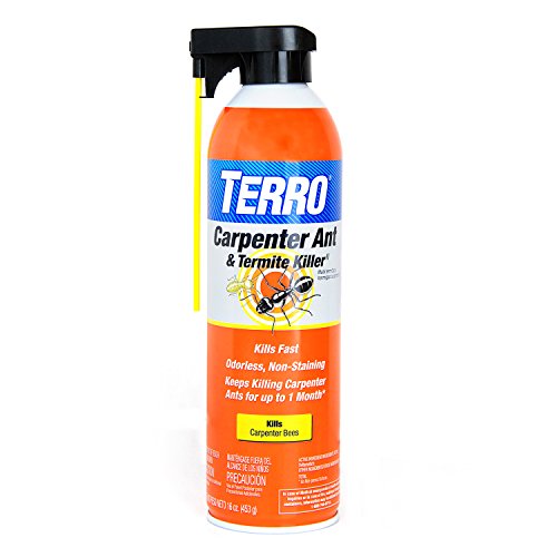 TERRO T1901-6 Ready to Use Indoor and Outdoor Carpenter Ant, Termite, and Carpenter Bee Killer Aerosole Spray - 16 Ounces - style: 1 Pack