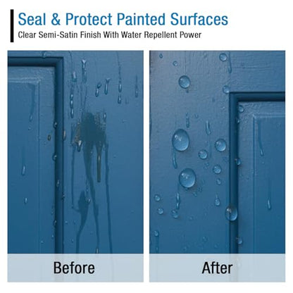 Rain Guard Water Sealers SP-9001 Paint Sealer Concentrate Makes 1 Gallon - Clear Semi-Satin Finish - Water Repellent Protection for All Painted Surfaces - Water-Based Silane/Siloxane Acrylic - size: 32 fl oz (Makes 1 Gallon)