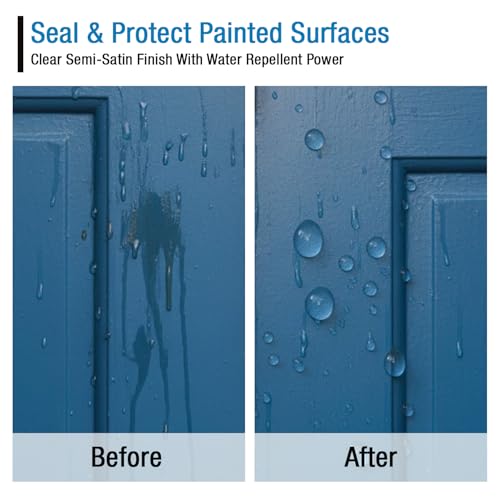 Rain Guard Water Sealers SP-9001 Paint Sealer Concentrate Makes 1 Gallon - Clear Semi-Satin Finish - Water Repellent Protection for All Painted Surfaces - Water-Based Silane/Siloxane Acrylic - size: 32 fl oz (Makes 1 Gallon)