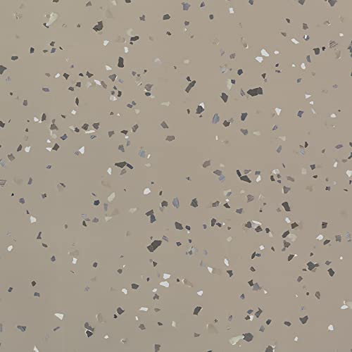 Rust-Oleum RockSolid Polycuramine Gloss Modern Greige Garage Floor Coating - color: Modern Greige, size: 1 Car