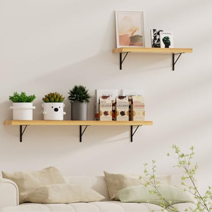 4 Pack L18 x H 12" Black Heavy Duty Shelf Brackets with Screws Metal Shelf Brackets Shelf Support Angle Brackets for Shelves L Brackets Heavy Duty Floating Shelf - size: 18''x12'', style: 4 Pack-Black