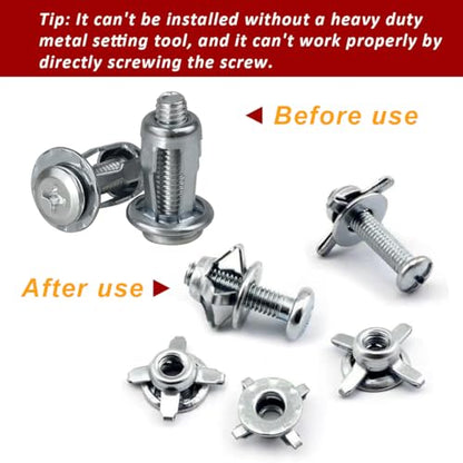 Molly Bolts Hollow Wall Anchors, Screws Assortment Kit, 40 Pcs