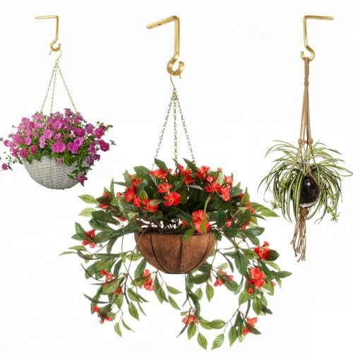 QIEGL 6inch Al-Alloy Hanging Plant Bracket Gold-Anodized 2 Pack - color: Gold Anodized, size: 6in Aluminum Alloy