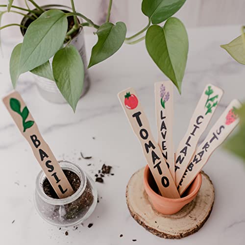 12 Inch Paint Sticks, Box of 25 Hardwood Paint Stirrers, Wood Mixing Paddles for Epoxy or Resin, Garden or Library Markers by Woodpeckers - size: 12 inch