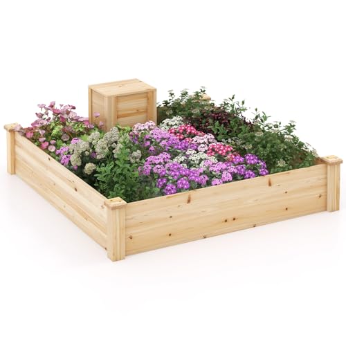 S AFSTAR Raised Garden Bed with Wood Composter, 49" x 49" x 10" Open Base Fir Wood Garden Bed, Outdoor Elevated Garden Box Raised Bed, Above Ground Planter Box for Veggies Fruits Flowers Herbs