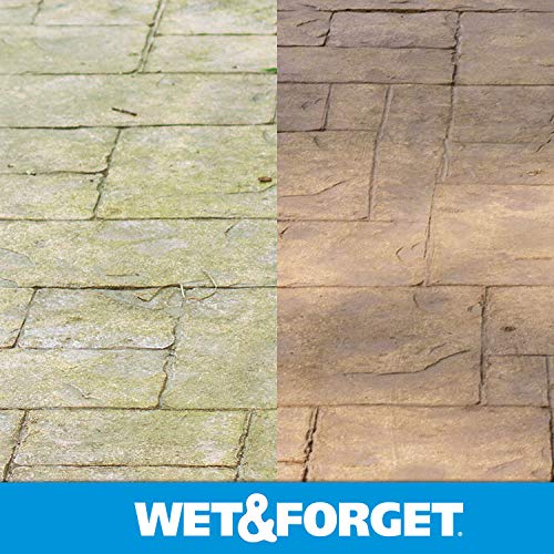 Wet & Forget Outdoor Cleaner & Stain Remover, Hose End Refill, 48oz - style: Hose End Refill 48 oz (Pack of 1)