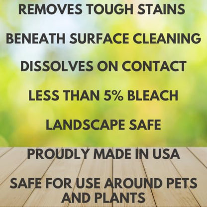 Wash Safe™ SPRAY & CLEAN Commercial-Strength Composite Deck Cleaner | Remove Black Stains | Cleans Up to 1,500 sq. ft. | Deep Set Cleaning, 1 Gal.