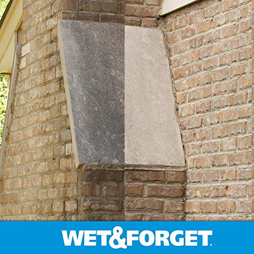 Wet & Forget Outdoor Cleaner & Stain Remover, Hose End Refill, 48oz - style: Hose End Refill 48 oz (Pack of 1)