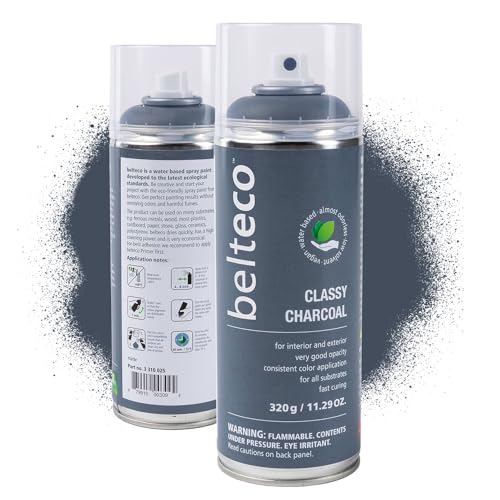 Classy Charcoal Spray Paint | Water-based Light Black Spray Paint - color: Classy Charcoal, size: 11.29 Ounce (Pack of 1)