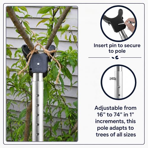 Tree Branch Support Pole & Crutch – Protect Limbs from Breaking (2-Pack) - color: Crutch & Post Set, size: 2-Pack