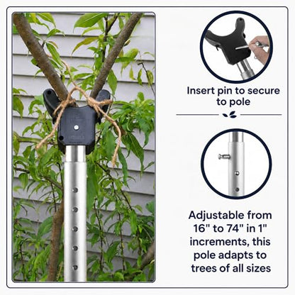 Tree Branch Support Pole & Crutch – Protect Limbs from Breaking (5-Pack) - color: Crutch & Post Set, size: 10-Pack