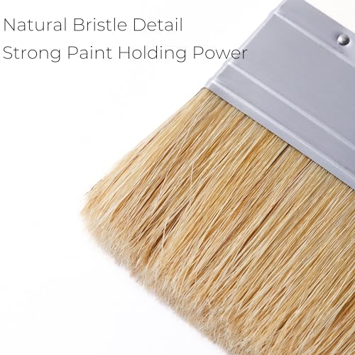 Limewash Paint Brush, 4 in Natural Bristle Double Brush