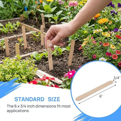 Hedume 600 Pack Large Wide Wax Sticks, Wood Wax Spatula Applicator, Body Hair Removal Craft Sticks Applicator Spatula - size: 600 Count (Pack of 1)