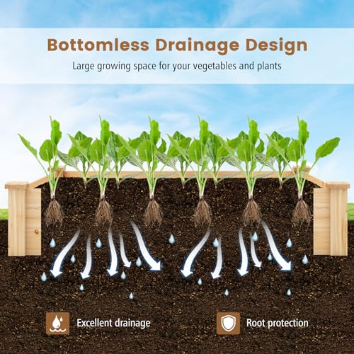 S AFSTAR Raised Garden Bed with Wood Composter, 49" x 49" x 10" Open Base Fir Wood Garden Bed, Outdoor Elevated Garden Box Raised Bed, Above Ground Planter Box for Veggies Fruits Flowers Herbs