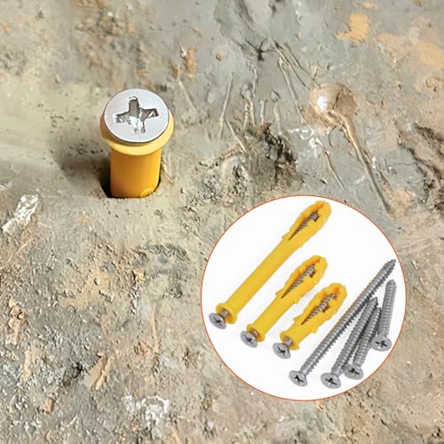 Drywall Anchors Kit 60 pcs 304 Stainless Steel Philips Flat Head Screws and 60 pcs Plastic Anchors for Concrete, Drywall, Brick, and Heavy Hanging Mounting, 3 Size M6 x 30mm/ 40mm/ 60mm