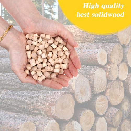 200 Pcs 3/8 Wood Plugs for Screw Holes, Flat Head Wooden Plugs for Holes in Locking Hole Tube Furniture, Wooden Screw Covers