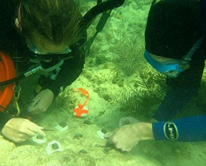 All-Fix 2 Part Epoxy Putty 3/4 Lb. Kit All Purpose 1001 Uses