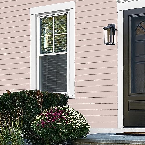 Glidden Total Exterior Paint & Primer All-in-One, Kangaroo Paw/Pink, Flat, 1 Gallon - color: Kangaroo Paw, size: 128 Fl Oz (Pack of 1)