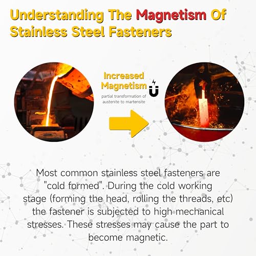 (15Sets) 1/4" x 3-1/2" Hex Head Lag Bolts, Heavy Duty Lag Screws with Washers, 304 Stainless Steel Bolts 18-8, Lag Screws Wood Screws, Partial Thread Bright Finish, 1/4 Bolt by Mywish - size: 1/4 x 3-1/2" (15 set)