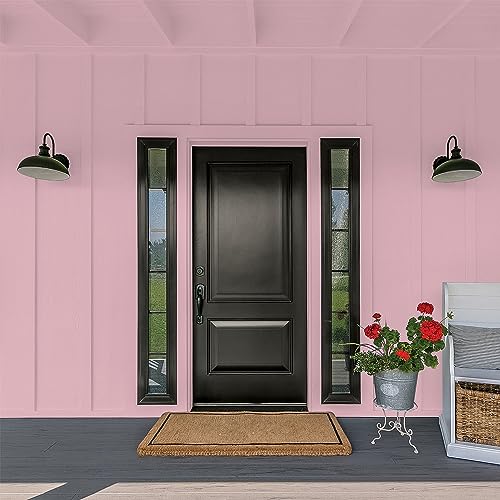Glidden Total Exterior Paint & Primer All-in-One, Lighthearted Rose/Purple, Flat, 1 Gallon - color: Lighthearted Rose, size: 128 Fl Oz (Pack of 1)