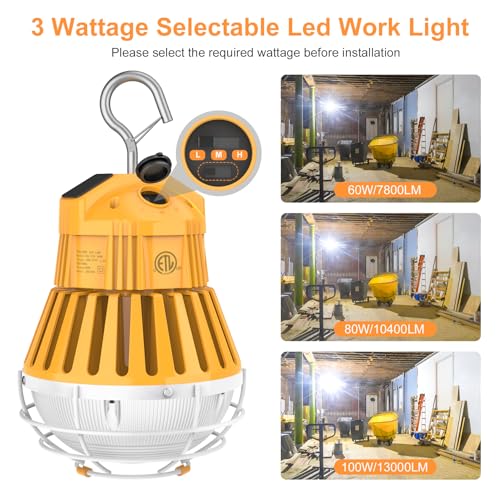 100W 80W 60W LED Temporary Work Light, Portable Hanging Construction Light - size: CCT-5000K