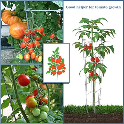 46 Inch Height 5PCS Galvanized Hexagon Folding Tomato Cage,Climbing Plant Support Tower Vegetable Stake Trellis - size: 46in Hex-Galvanized-5Pack
