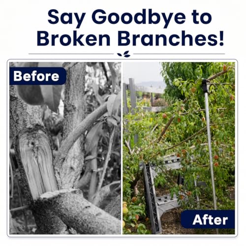 Tree Branch Support Pole & Crutch – Protect Limbs from Breaking (5-Pack) - color: Crutch & Post Set, size: 10-Pack