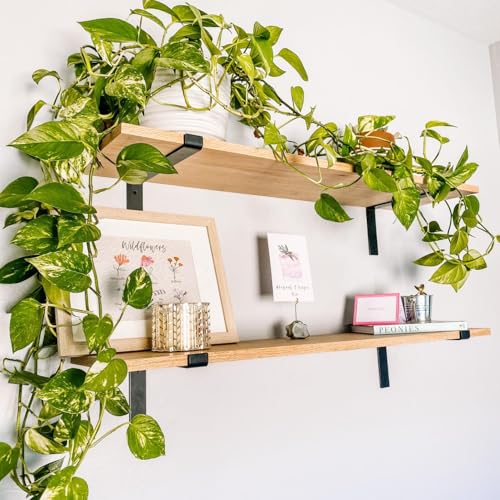 Heavy-Duty Shelf Brackets - Premium Construction Grade 1/4" (6mm) Thick Steel - Matte Black Iron Finish for Modern Farmhouse Rustic Open Shelving w/ Hardware, 4-Pack - (L Bracket w/ Lip, 9.25" x 6") - size: 9.25" x 6", style: L Bracket w/ Lip