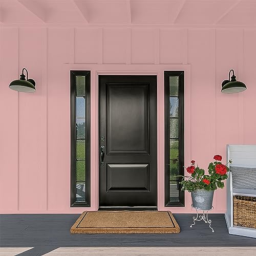 Glidden Total Exterior Paint & Primer All-in-One, Pepperberry/Pink, Flat, 1 Gallon - color: Pepperberry, size: 128 Fl Oz (Pack of 1)
