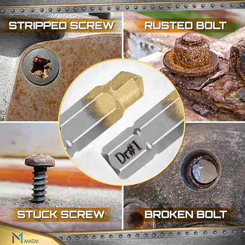 Titanium Screw Extractor Set for Stripped, Broken, Damaged Screws - 22 pc, Silver & Gold - Remover Kit with Drill Bits, Extractors, Bit Extension & Socket Adapter