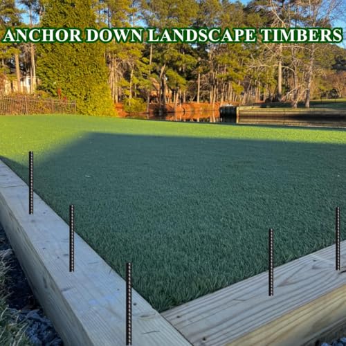 Rebar Stakes 16 Inch 20 Pack Heavy Duty Ground Anchors with Chisel Point End Long Straight Steel Tent Stakes 3/8" Thickness Metal Spikes Black Coated for Concrete Timber Camping Garden Plant - size: I-16"x3/8"-20pcs